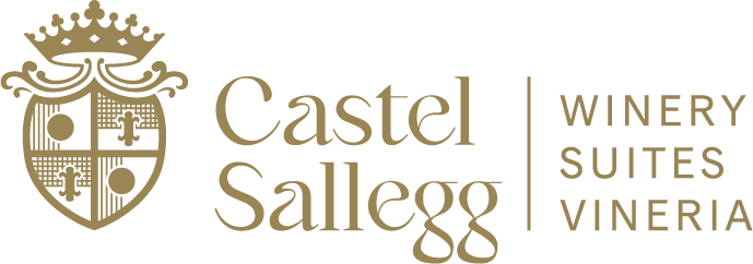Castel Sallegg Logo